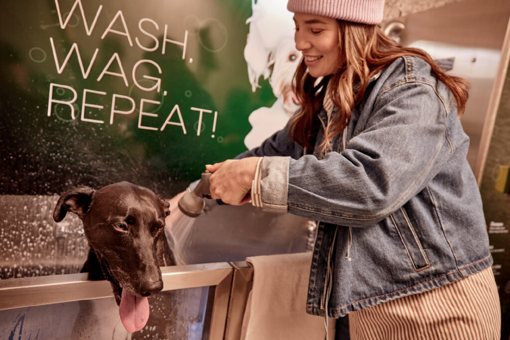 Pet Spa
